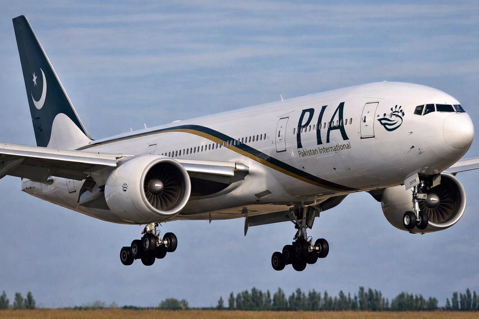 PIA Cargo Partnership